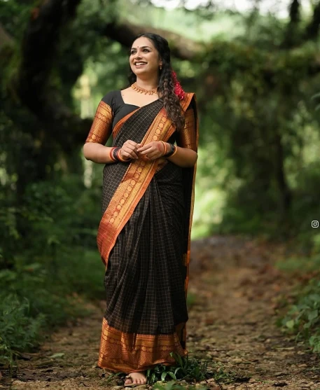 Screenshot_20241225_220141_Instagram Narayanpet Sarees with Checks - Image 1