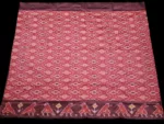 Traditional Indian Pochampally Saree Draped on Model